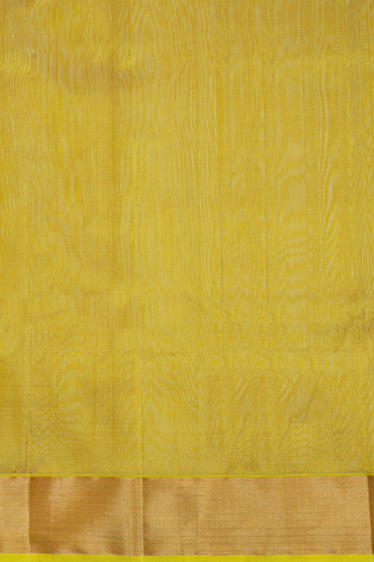 Chanderi Sico Mehendi Green Saree