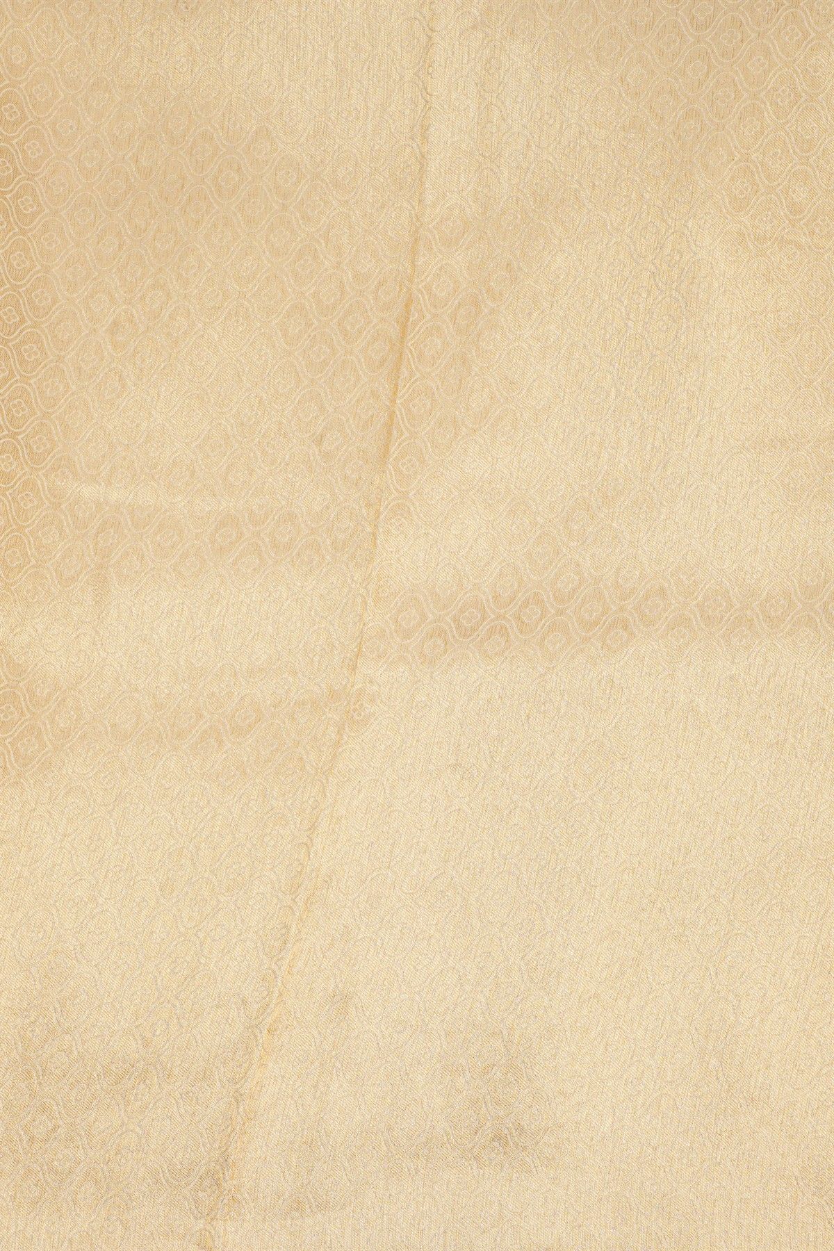 Fancy Tissue Light Green Saree