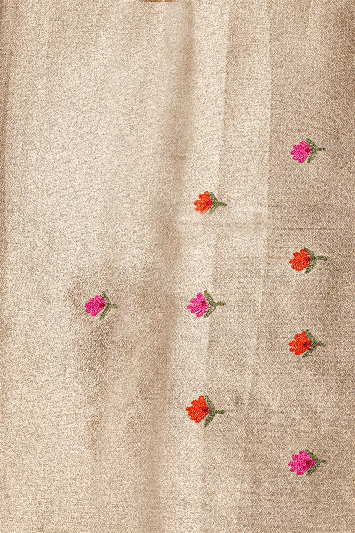 Fancy Tissue Dual Colour Saree