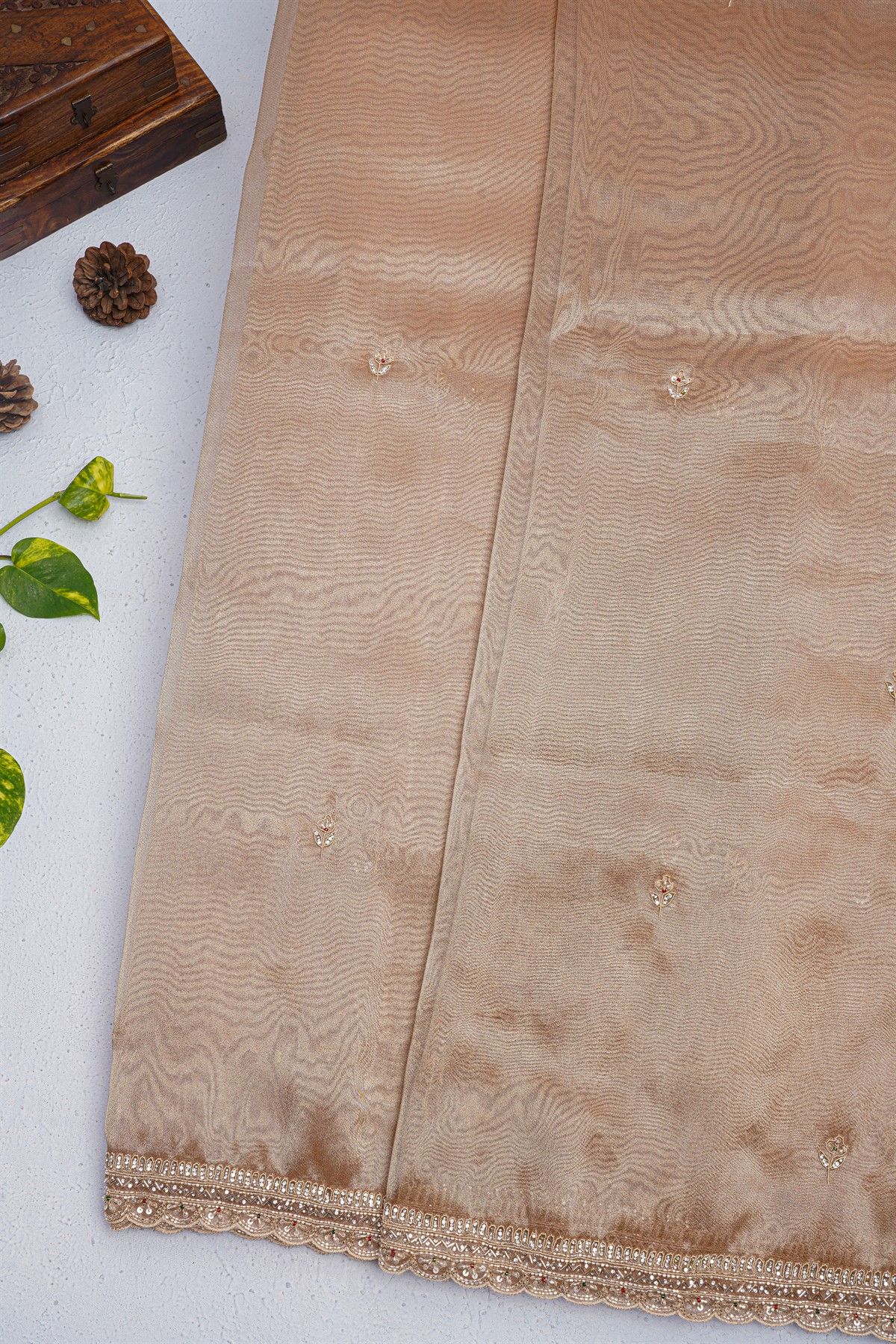 Fancy Tissue Cream Saree