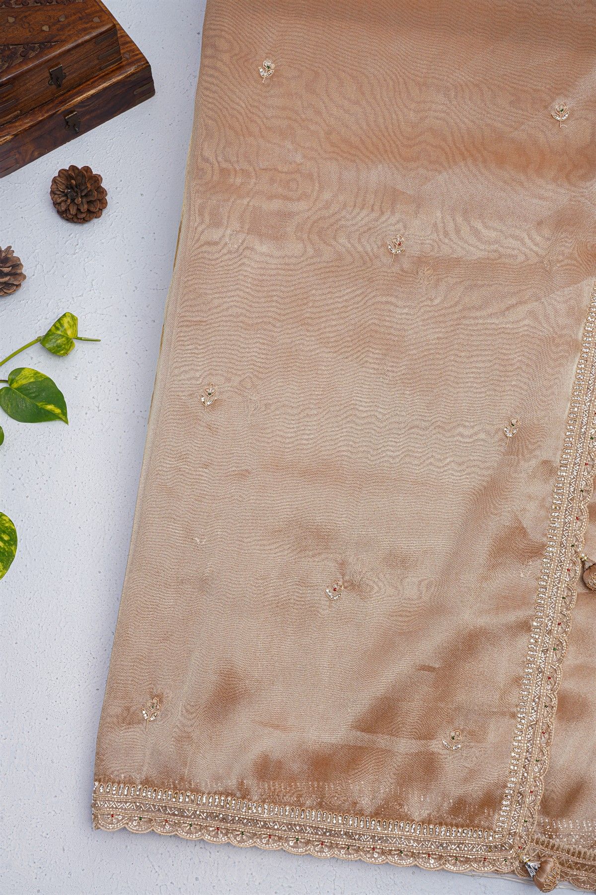 Fancy Tissue Cream Saree