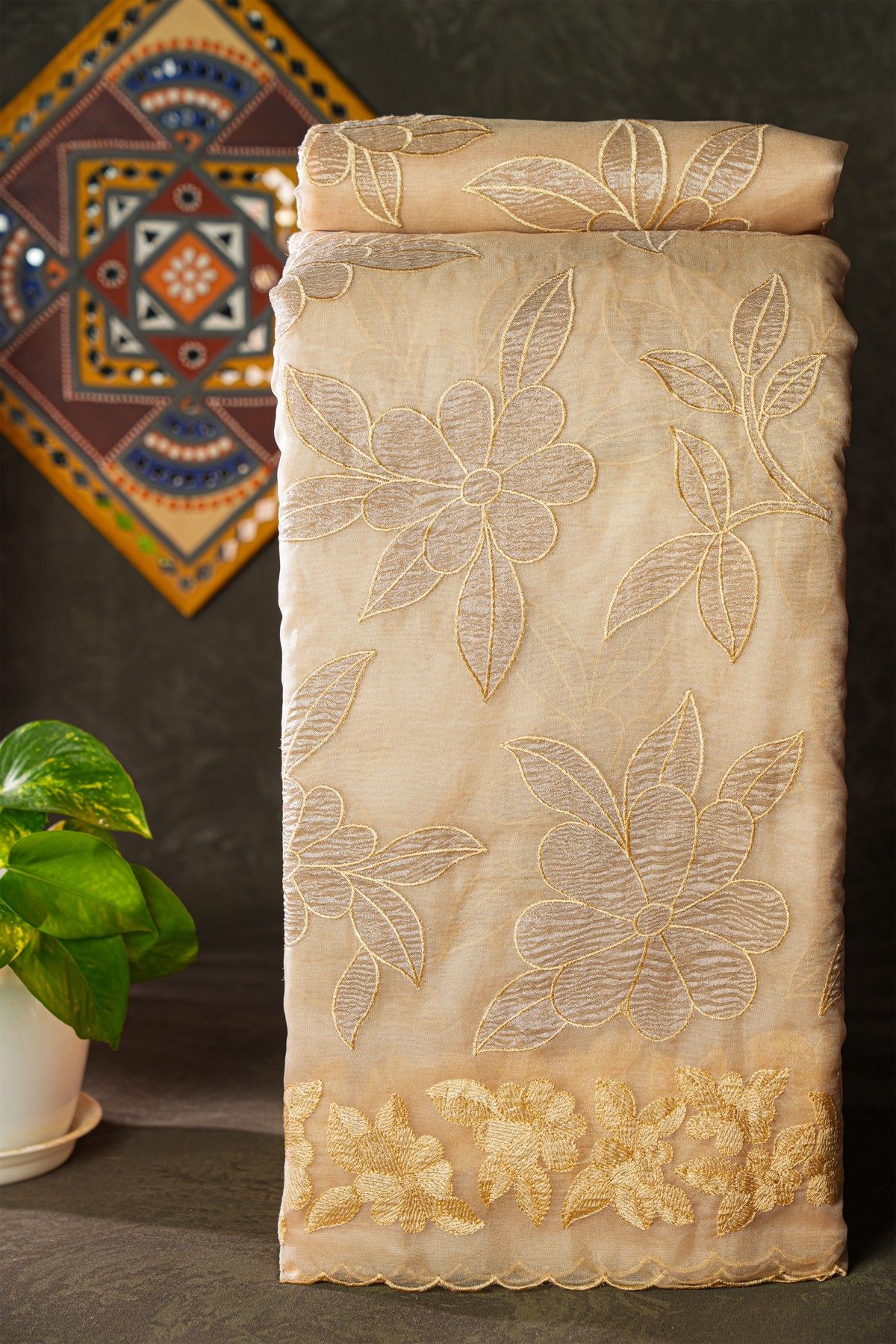 Fancy Organza Cream Saree