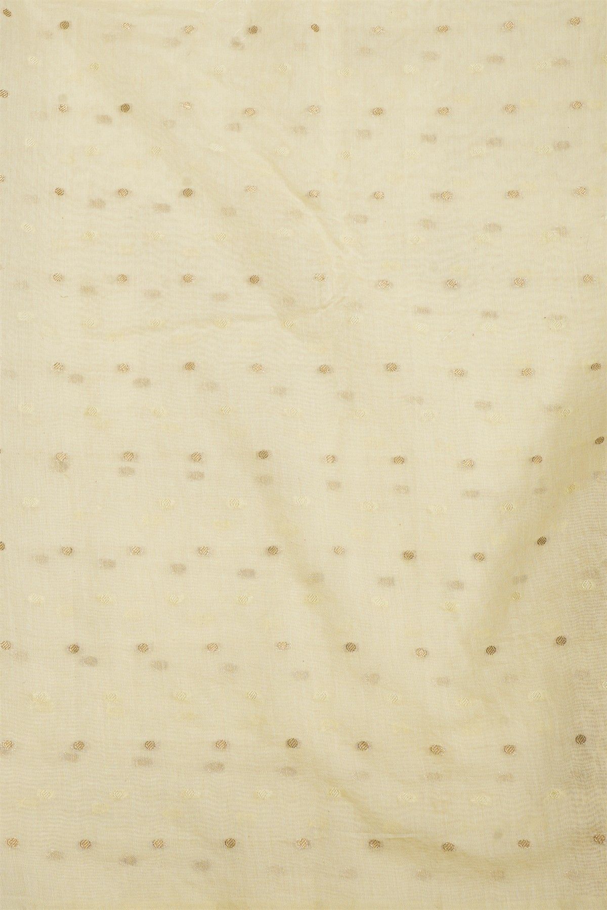 Designer Organza Cream Saree