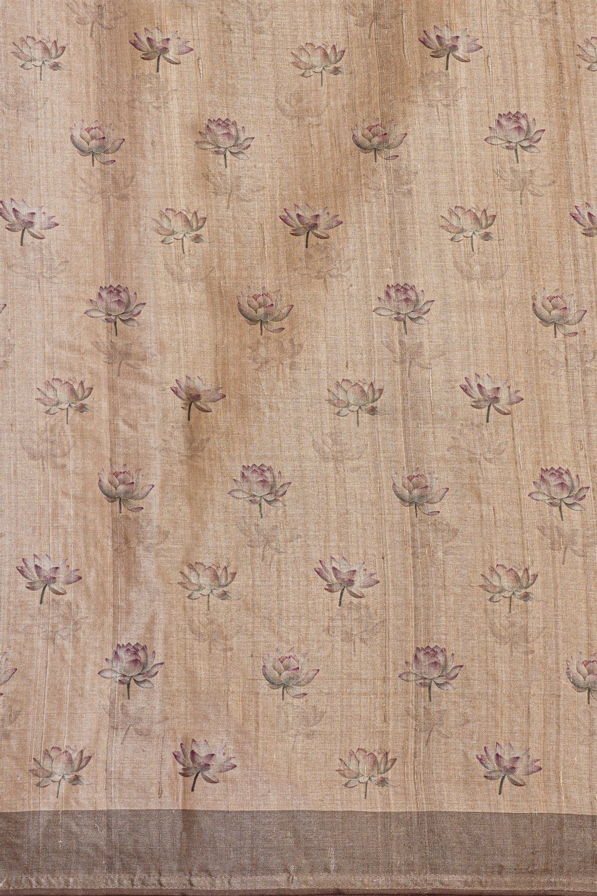 Fancy Organza Multi Colour Saree