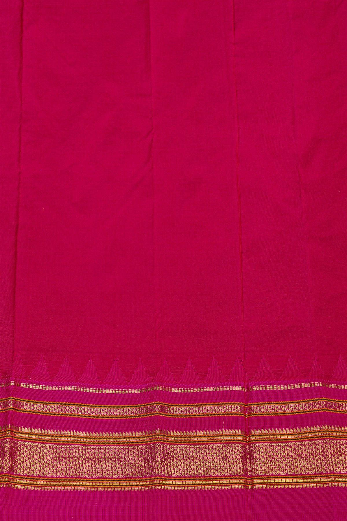 Narayanpet Silk Sky Blue Saree
