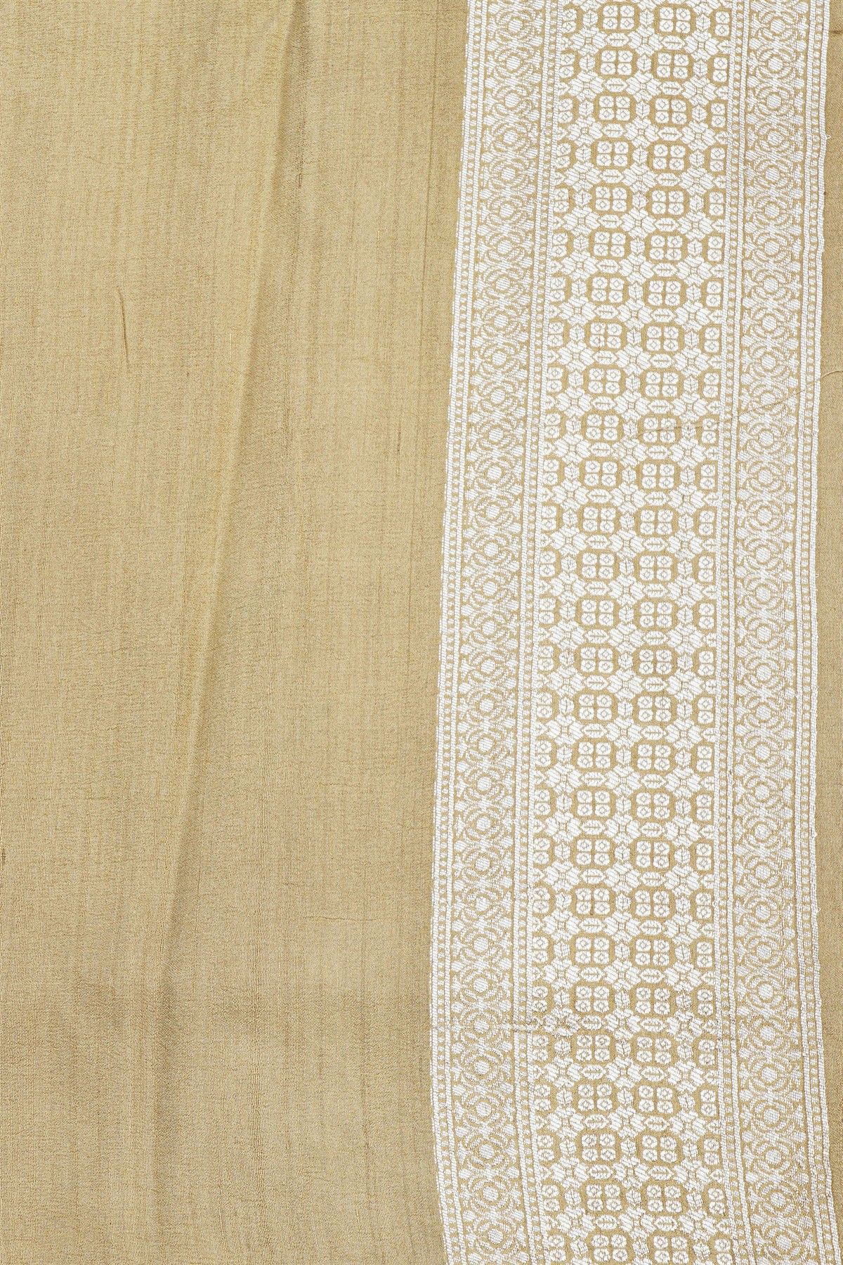 Fancy Tussar Georgette Beige Saree
