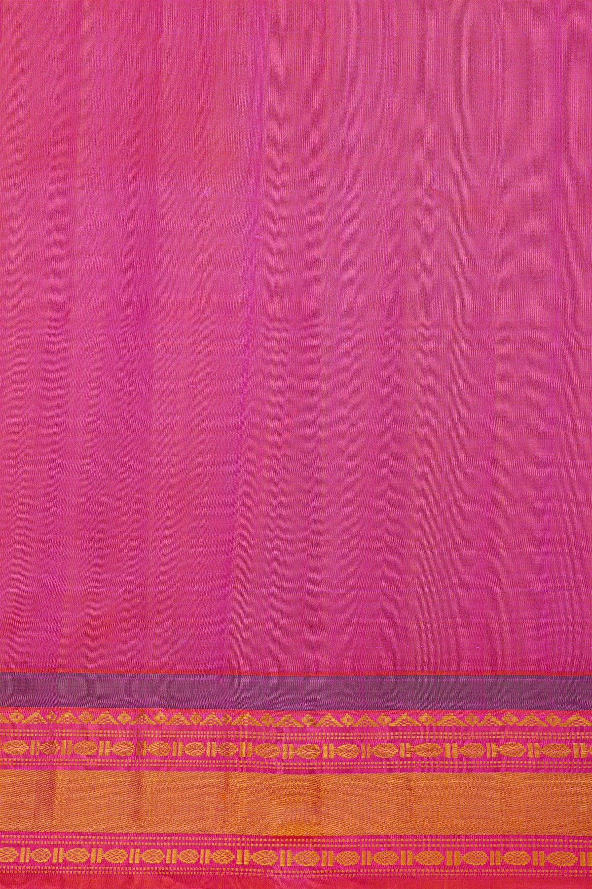 Gadwal Silk Sky Blue Saree