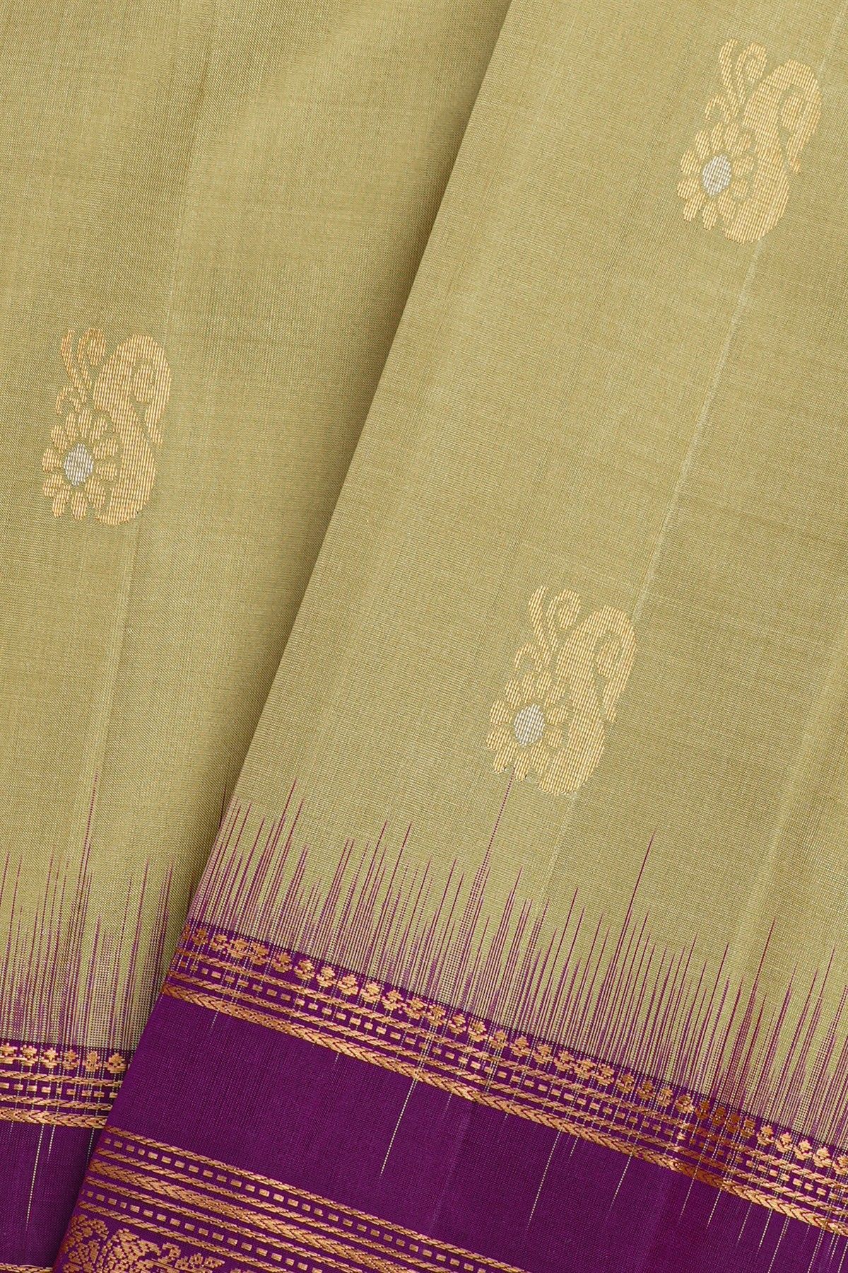 Coimbatore Soft Silk Pista Green Saree