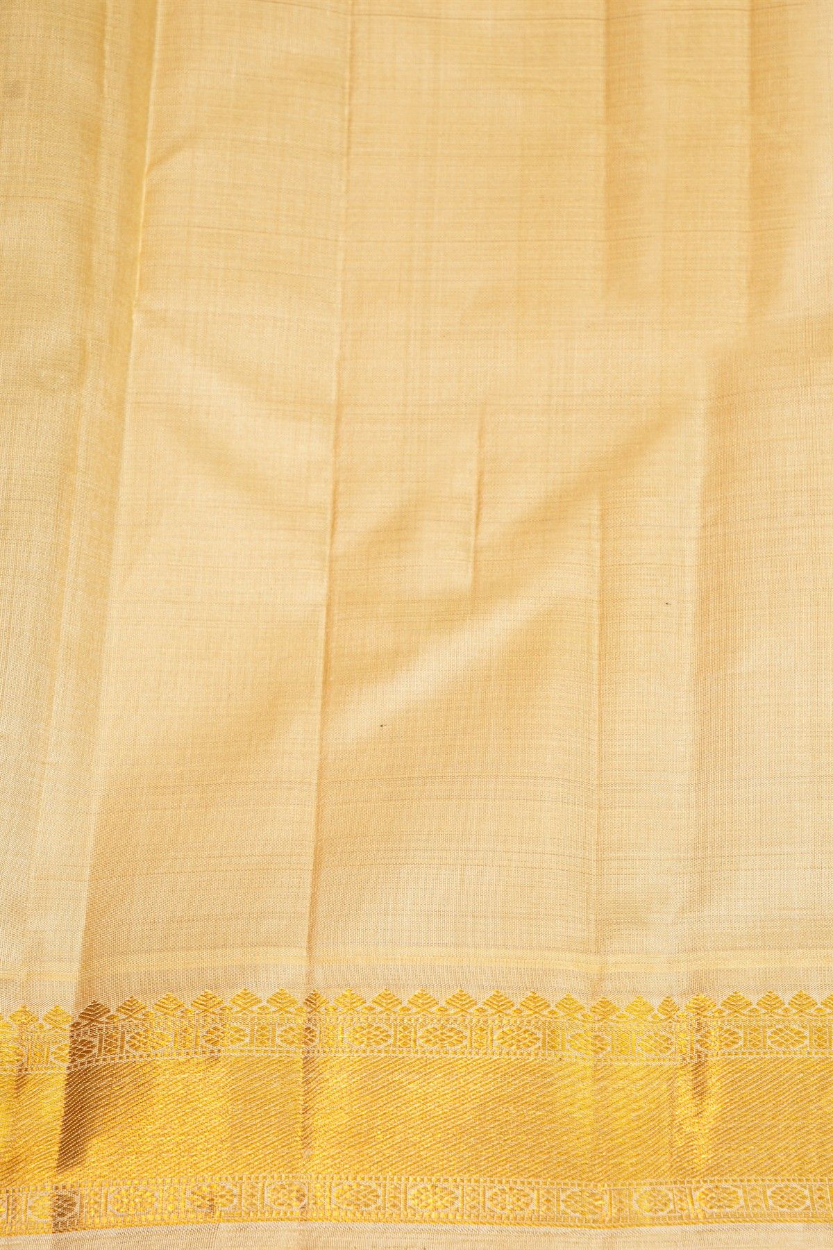 Kancheepuram Silk Multi-Colour Saree