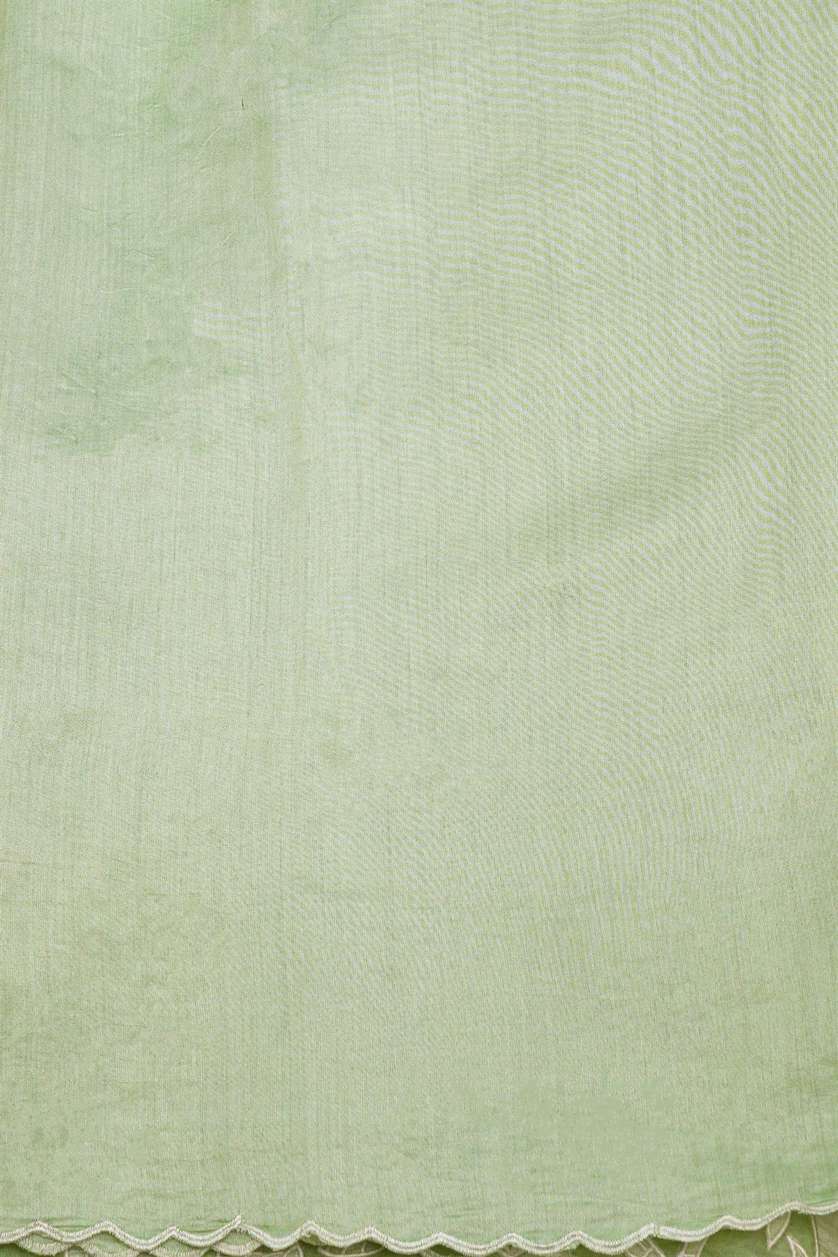 Designer Kora Pista Green Saree