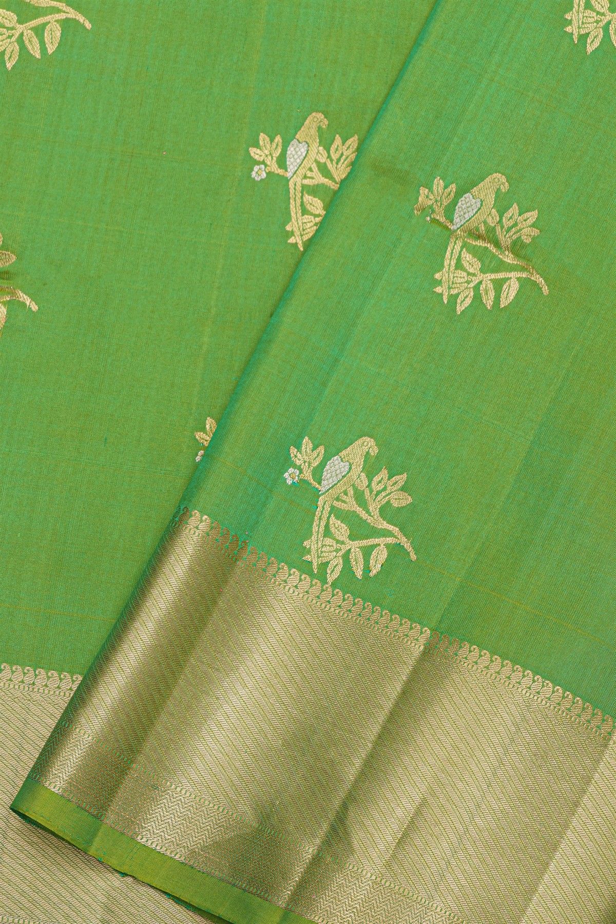 Coimbatore Soft Silk Parrot Green Saree
