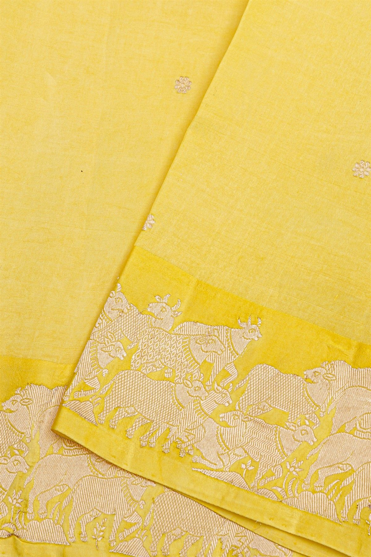 Fancy Matka Silk Yellow Saree With Floral Buttis Body And Pichwai Cows Motifs Border