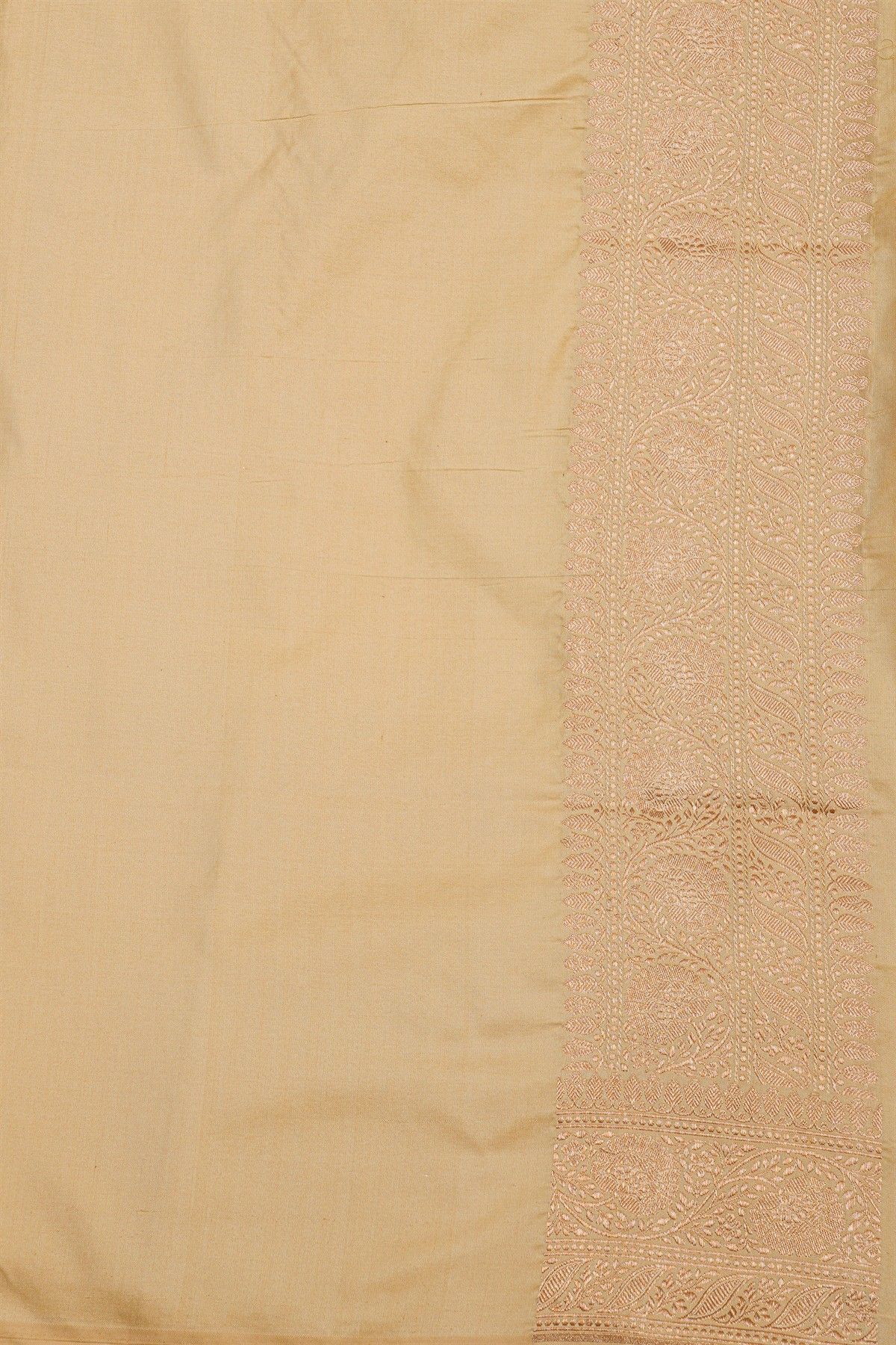 Banarasi Silk Beige Saree With Florals And Leaves Jaal Border