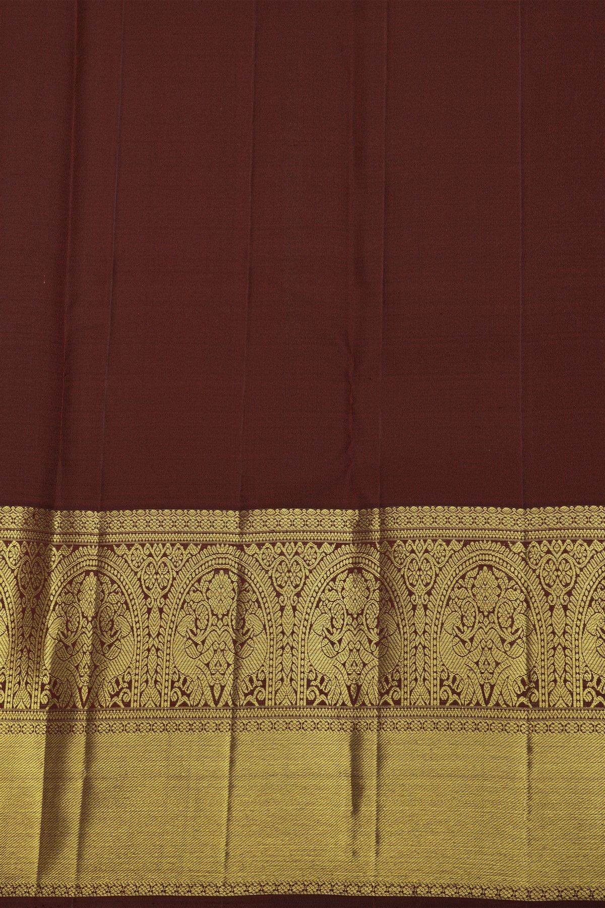 Kancheepuram Pure Silk Sky Blue Saree With Florals and Leaves Border