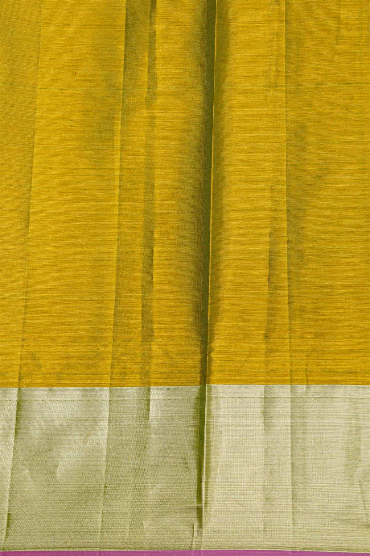 Kancheepuram Tissue Mehendi Green Saree With Florals And Leaves In Birds Body