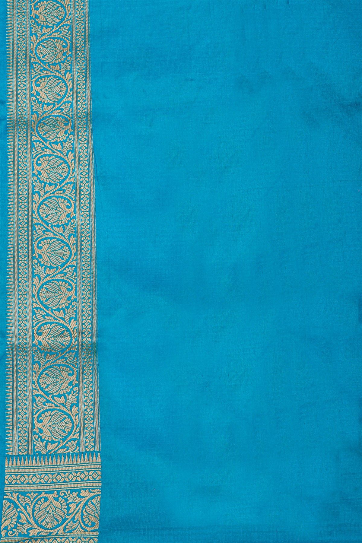 Banarasi Silk Sky Blue Saree With Florals And Leaves Jaal Border
