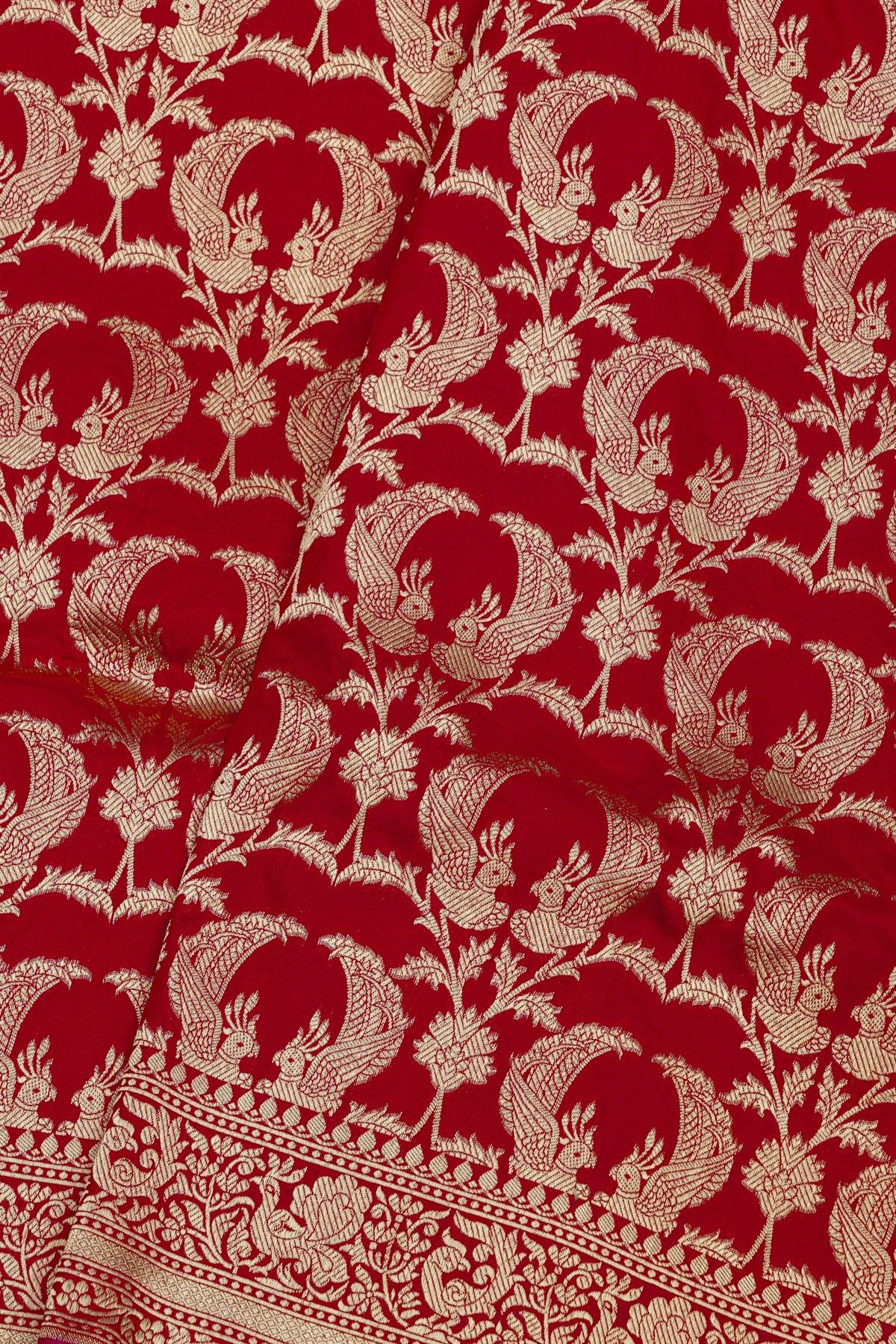 Banarasi Silk Red Saree With Florals And Leaves With Birds Body