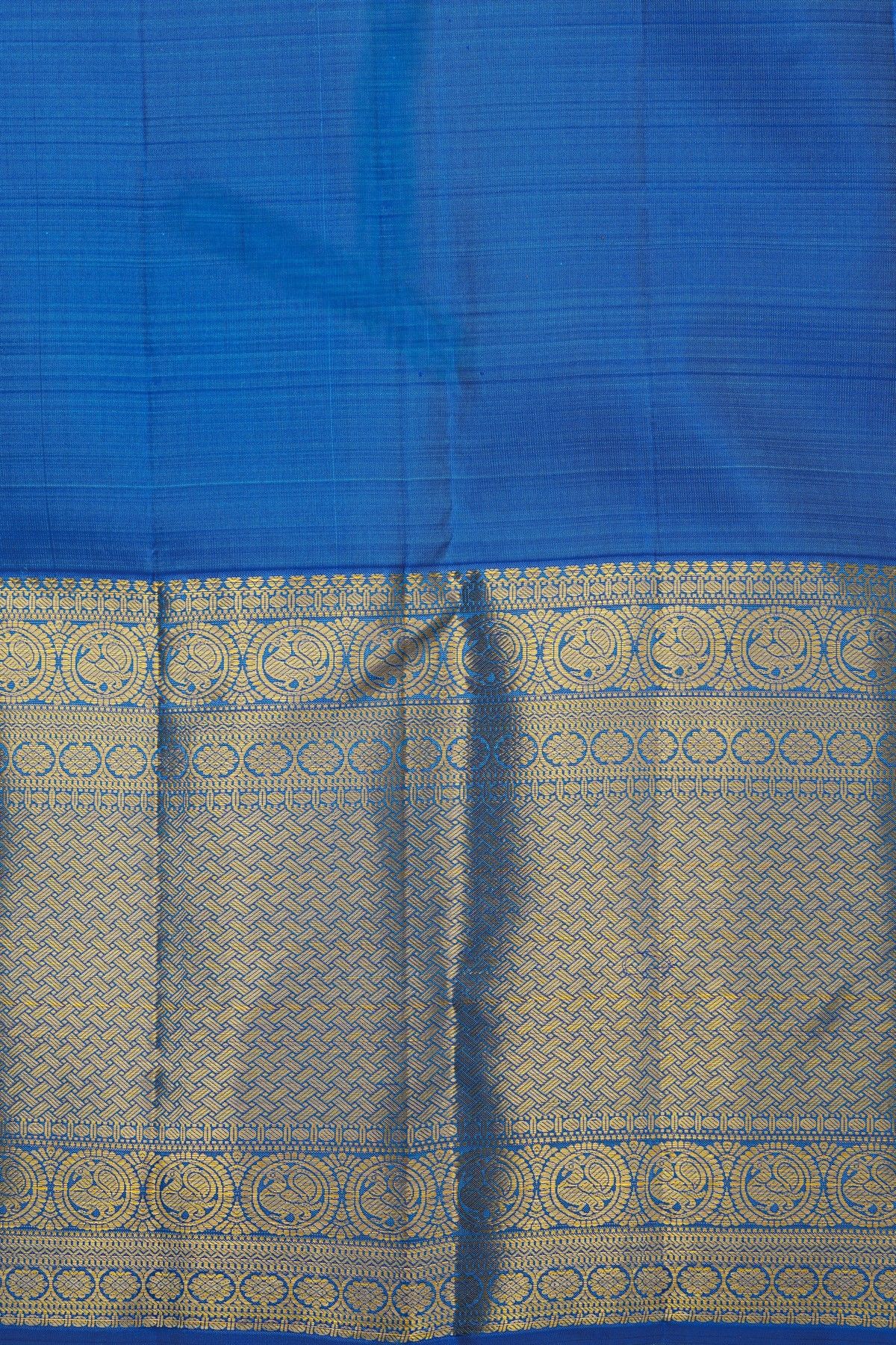 Kancheepuram Silk Sky Blue Saree With Florals And Leaves In Zari Body