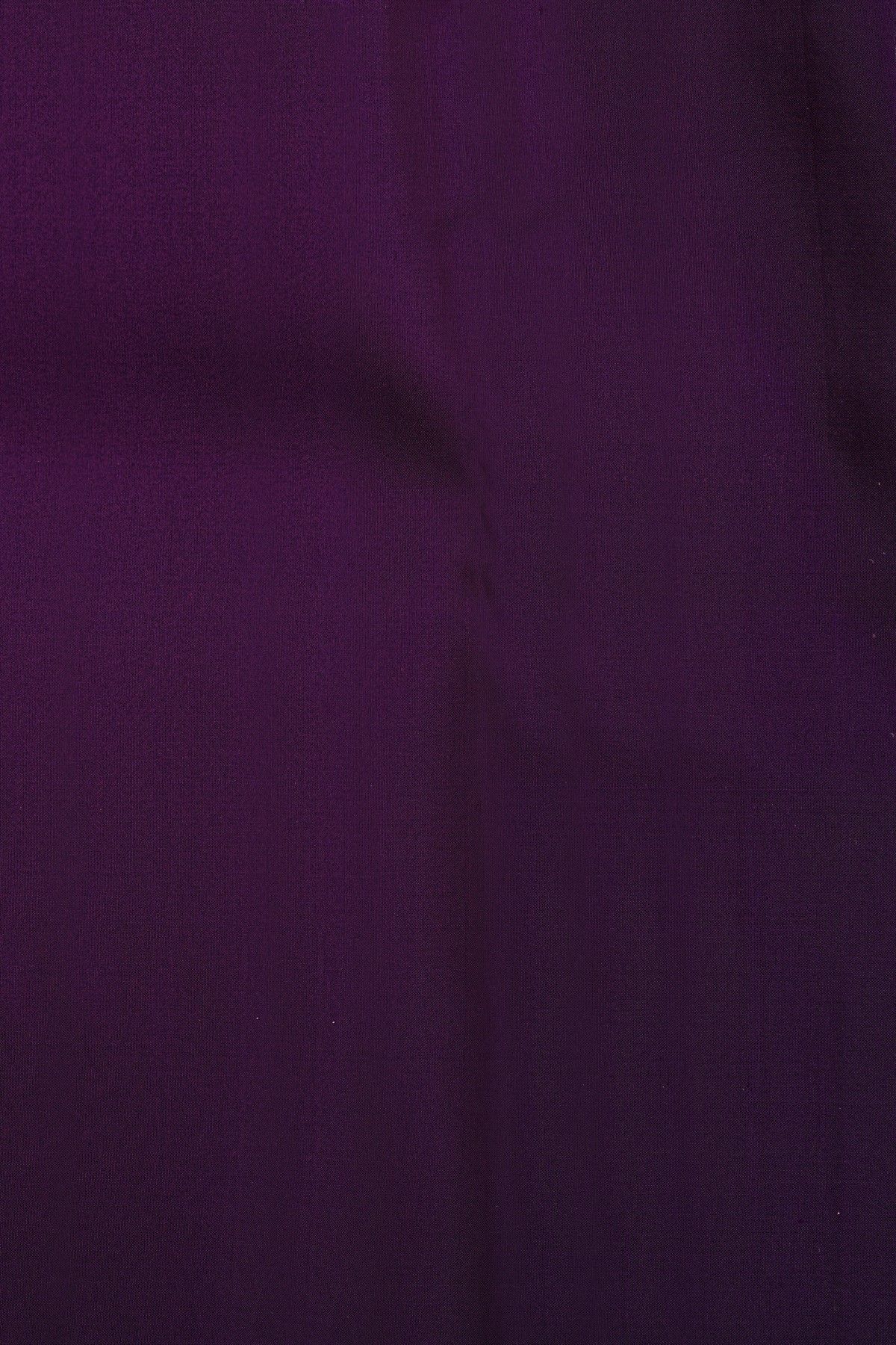 Kancheepuram Silk Purple Saree With Florals Jaal Turning Border