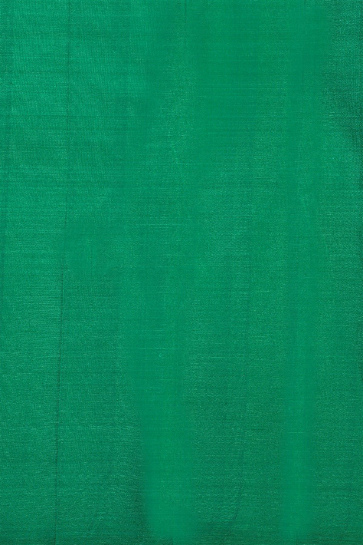 Kancheepuram Silk Leaf Green Saree With Florals And Leaves Body