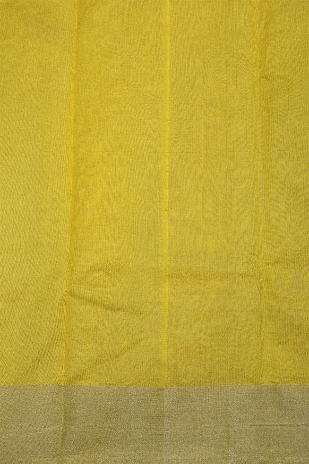 Chanderi Silk Yellow Saree With Circle Buttis Body