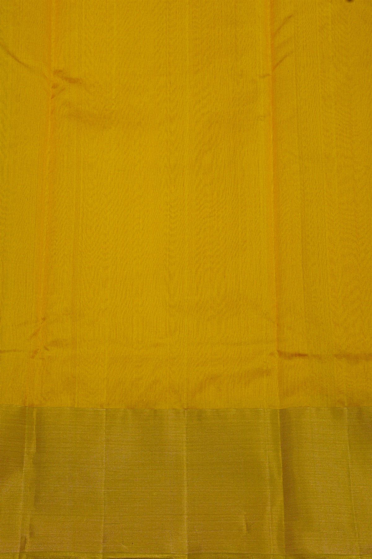 Chanderi Silk Mustard Saree With Parrot Buttis Body