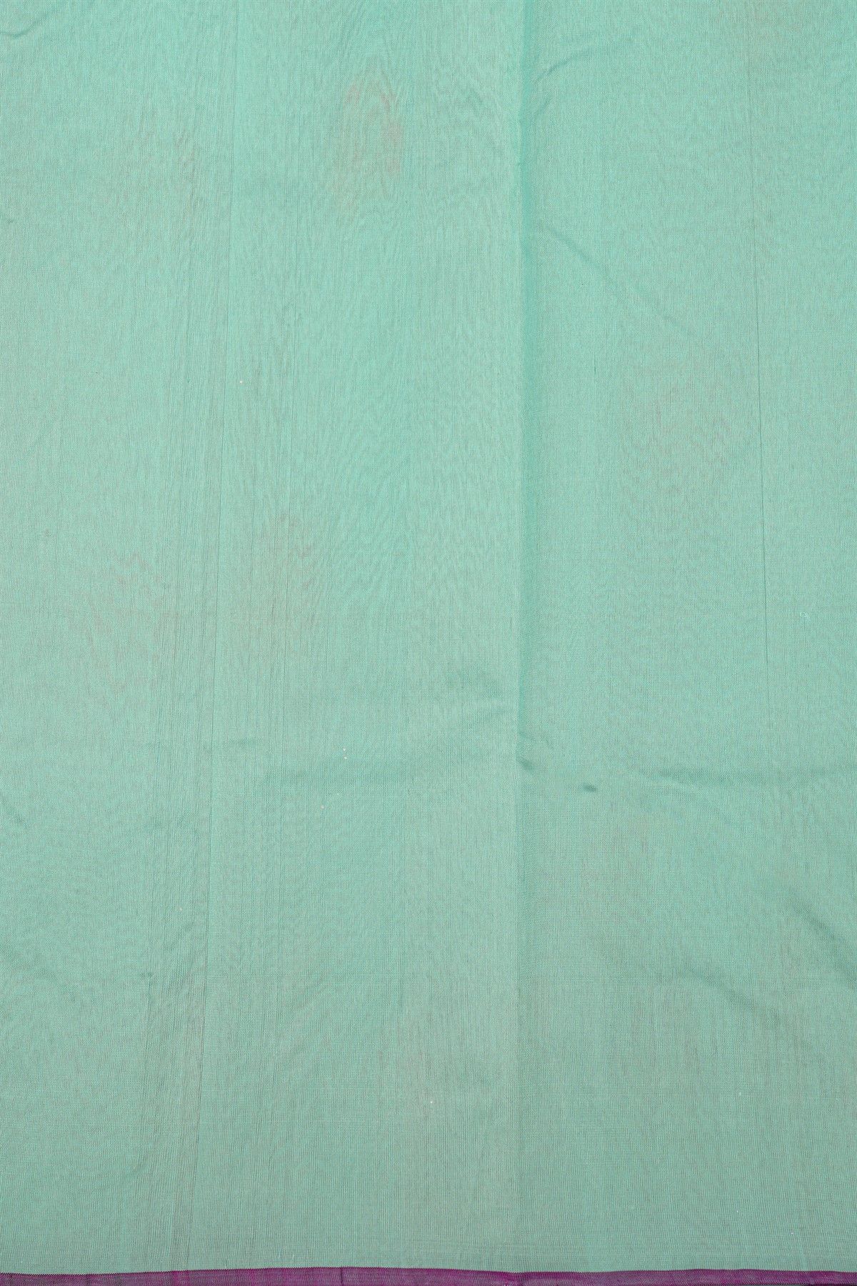 Chanderi Silk Sky Blue Saree With Florals And Leaves Jaal Border