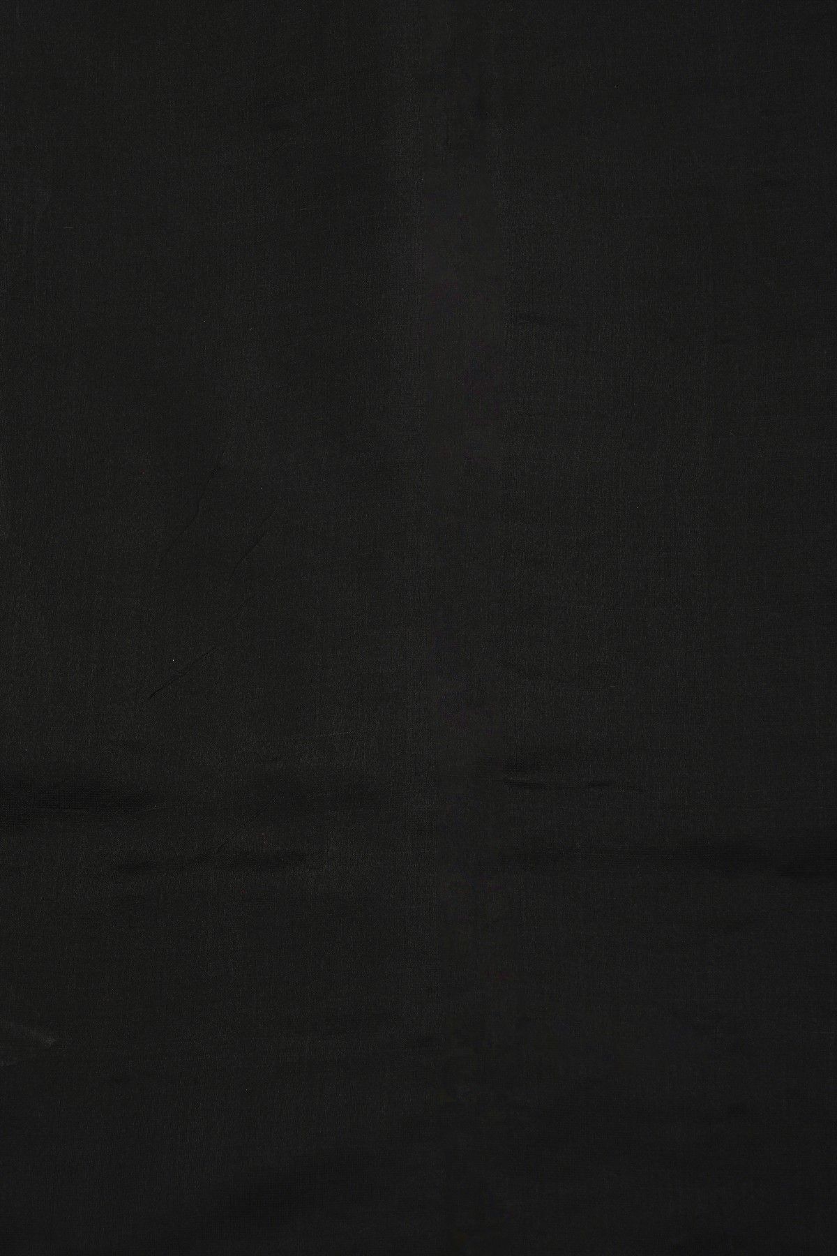Chanderi Silk Black Saree With Florals And Leaves Jaal Border