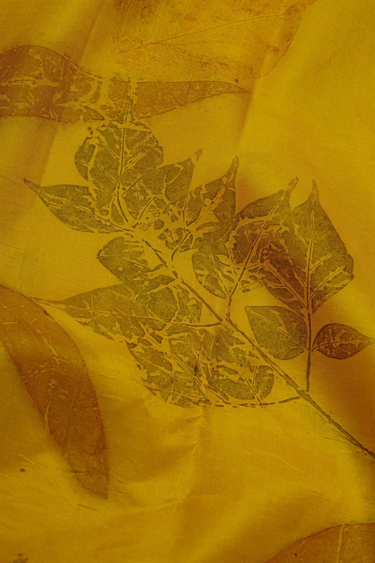 Eco Printed Silk Mustard Saree With Zari Border