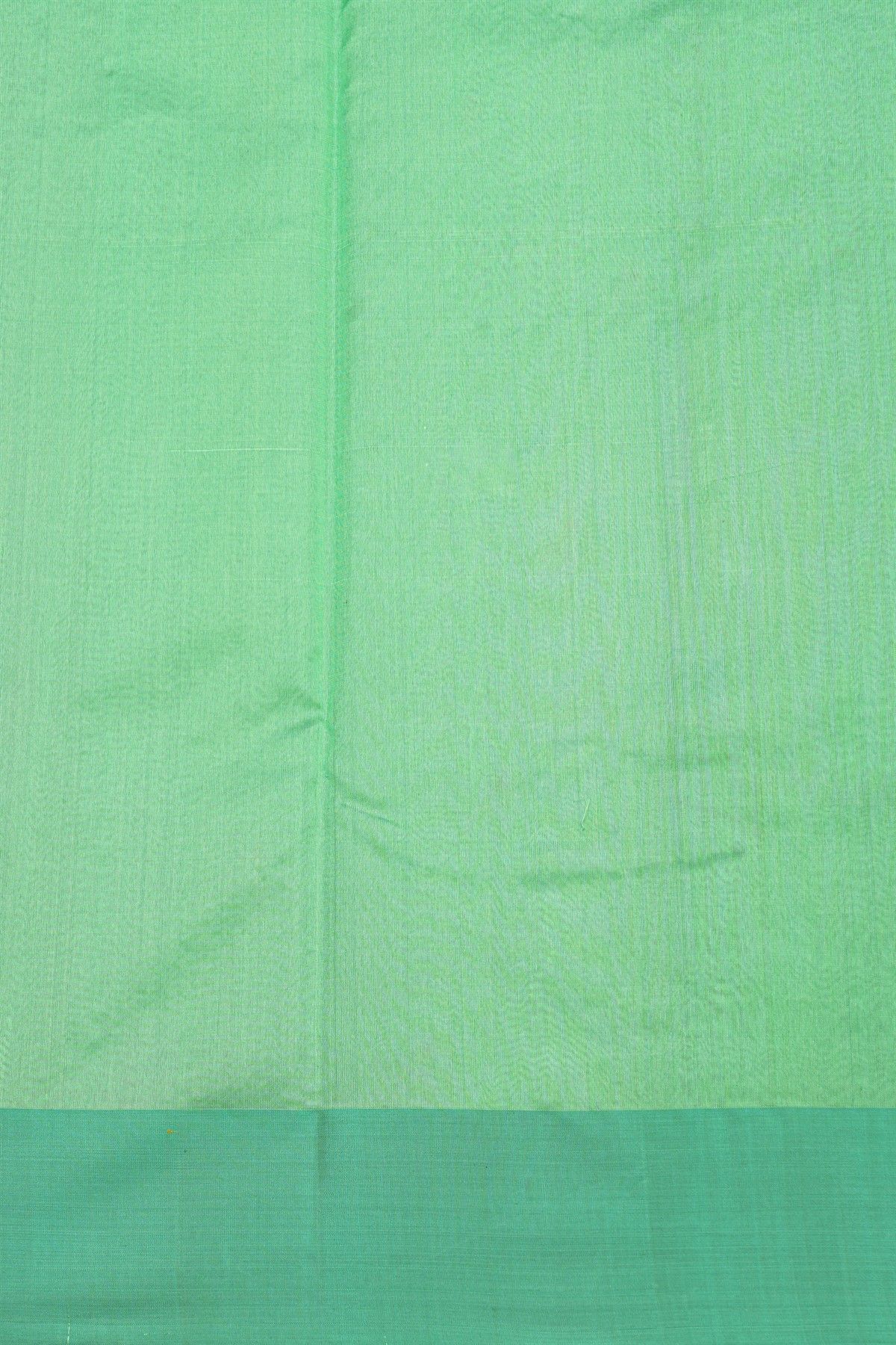 Chanderi Silk Mint Green Saree With Florals And Buttis Body