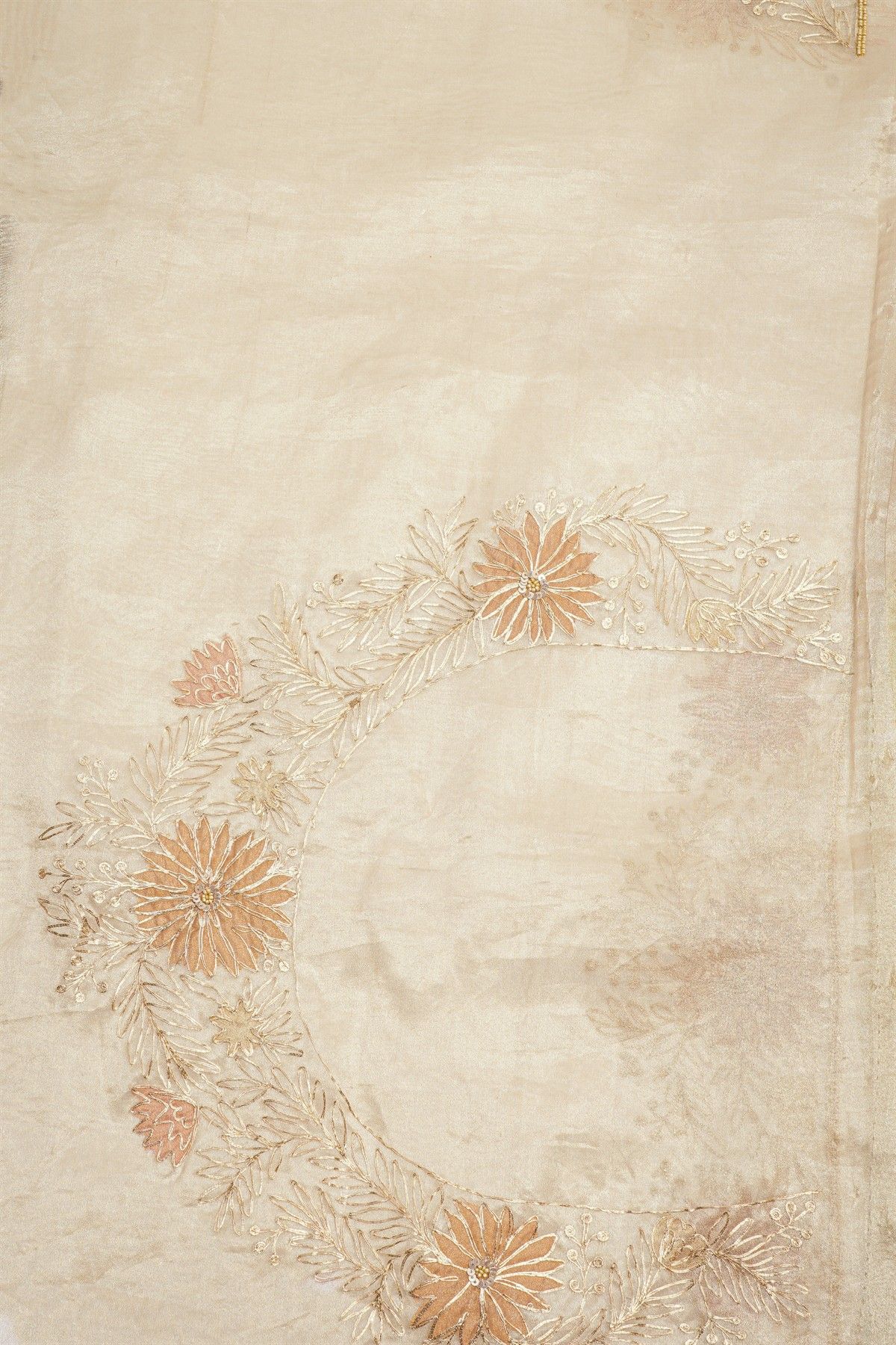 Fancy Tissue Dual Colour Saree