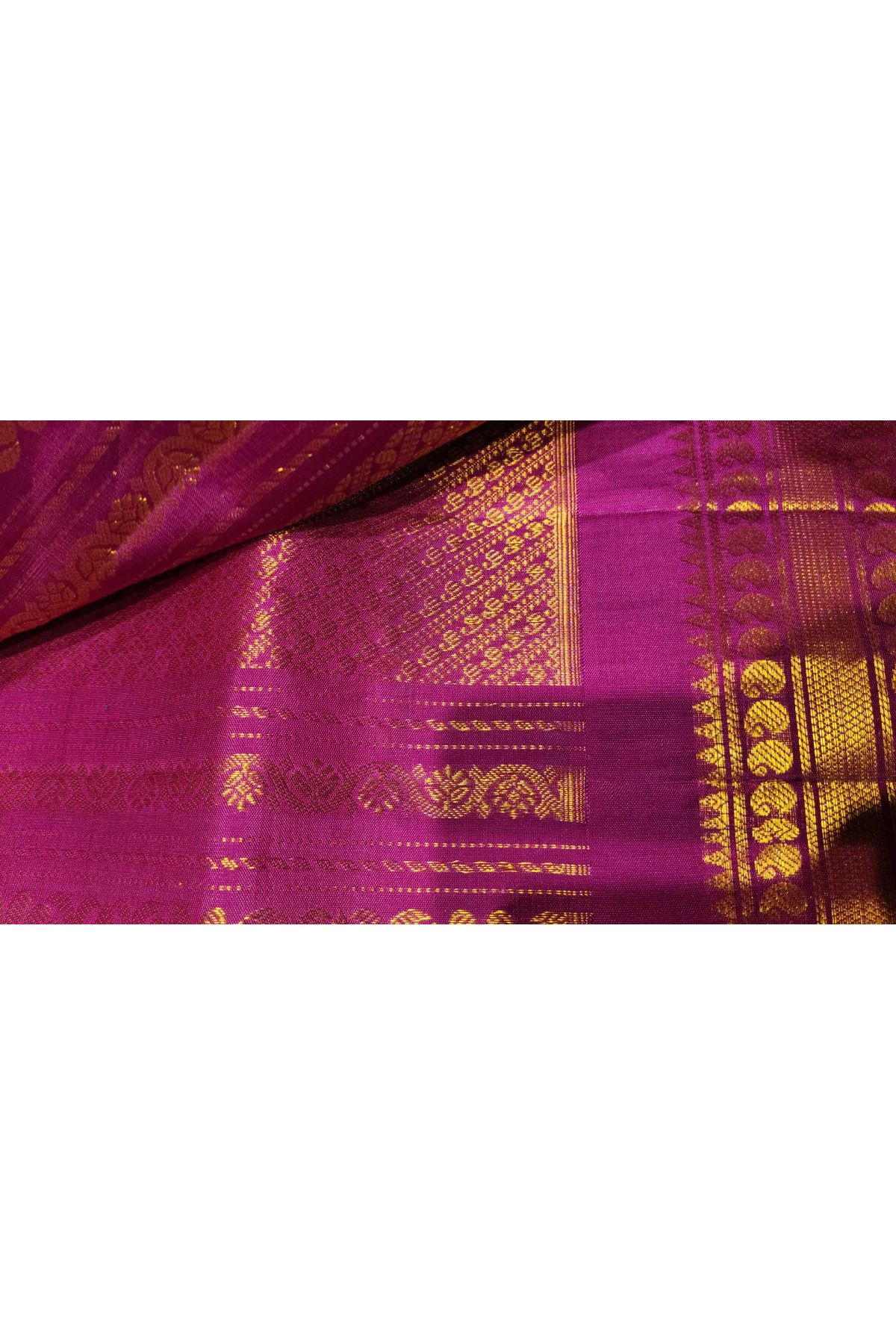 Gadwal Silk Yellow Saree With Buttis Body And Contrast Mango Paisley Border