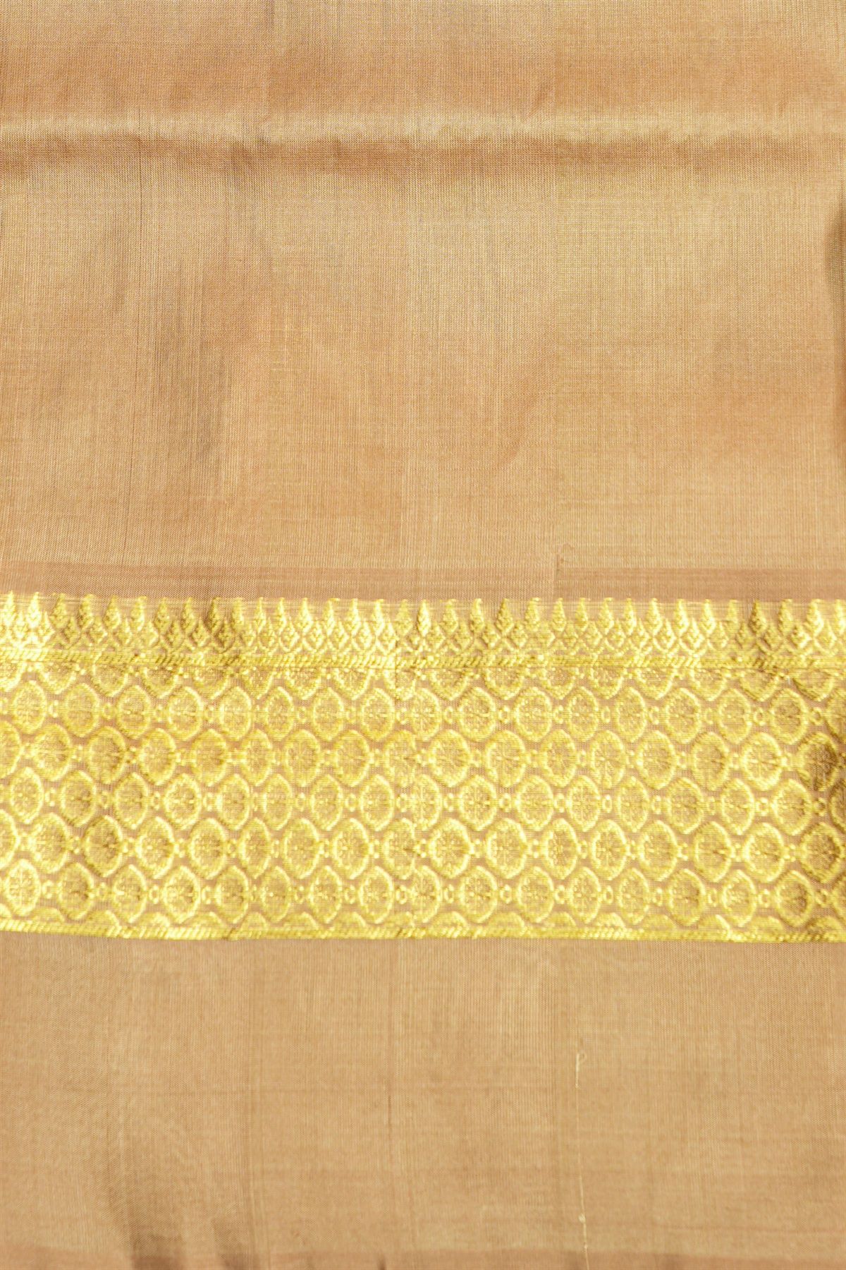 Venkatagiri Silk Sky Blue Saree