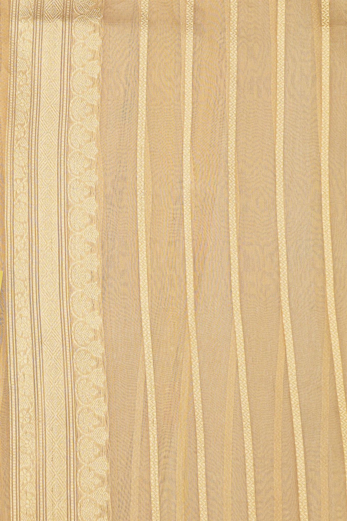 Banarasi Organza Brown Saree