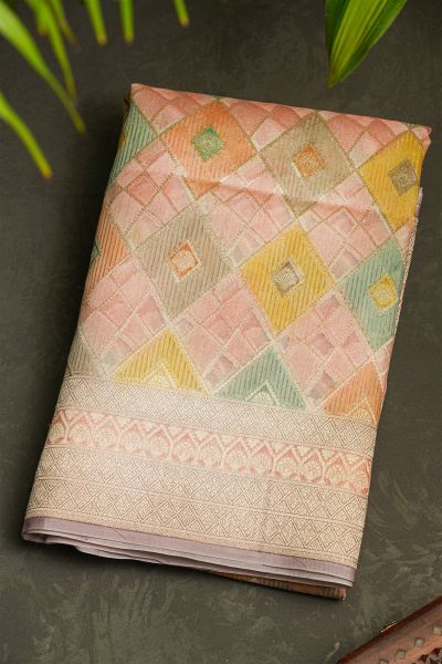 Banarasi Organza Multicolour Saree
