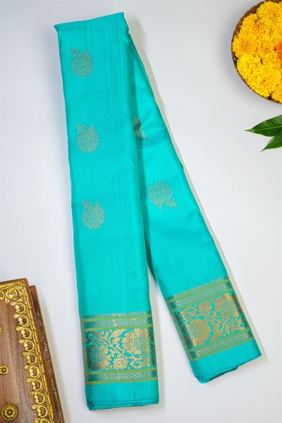 Gadwal Silk Sky Blue Saree