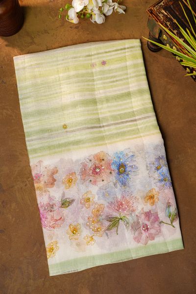 Fancy Organza Dual Colour Saree