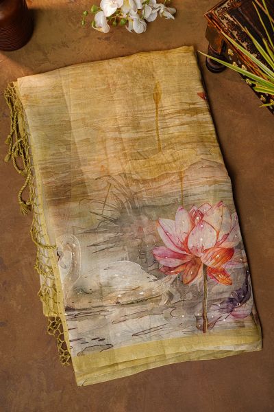 Fancy Organza Dual Colour Saree