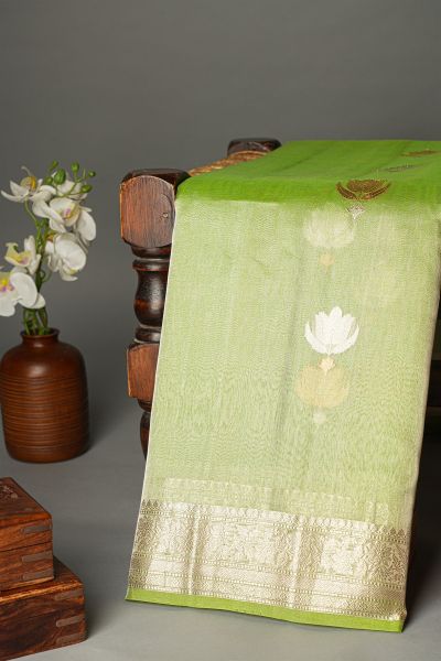 Designer Organza Dual Colour Saree