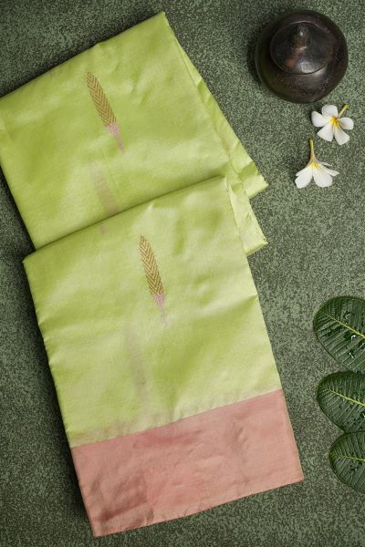 Chanderi Silk Light Green Saree