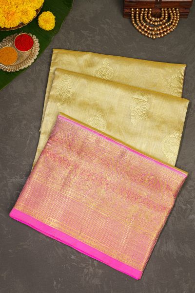 Venkatagiri Silk Gold Saree