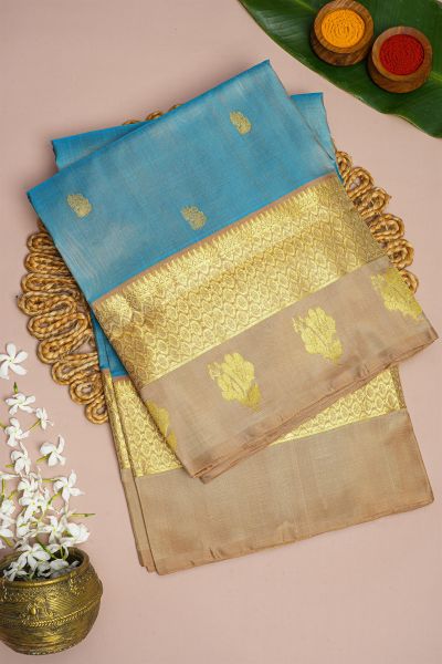 Venkatagiri Silk Sky Blue Saree