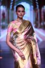 Kancheepuram Tissue Multi Colour Saree