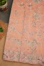 Fancy Tissue Peach Saree