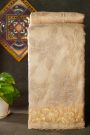 Fancy Organza Cream Saree