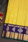 Gadwal Silk Multi Colour Saree