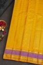 Gadwal Silk Grey Saree