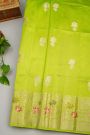 Fancy Matka Silk Light Green Saree
