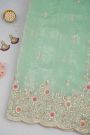 Designer Organza Mint Green Saree