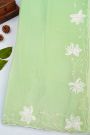 Designer Crepe Pista Green Saree